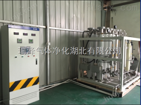 瑞泽10-60Nm3/h氨气净化干燥设备