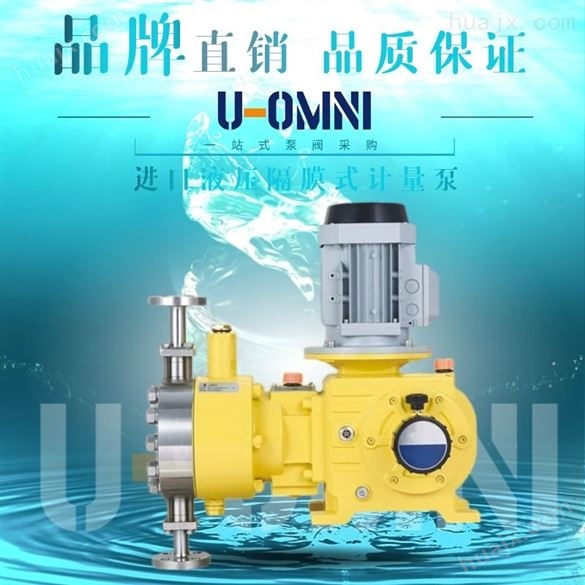 美国液压隔膜式计量泵-进口欧姆尼U-OMNI
