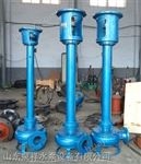 150ZSL150-50-75耐磨立式渣浆泵、泥砂泵